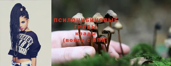 экстази Белокуриха
