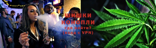 крисы Белоозёрский